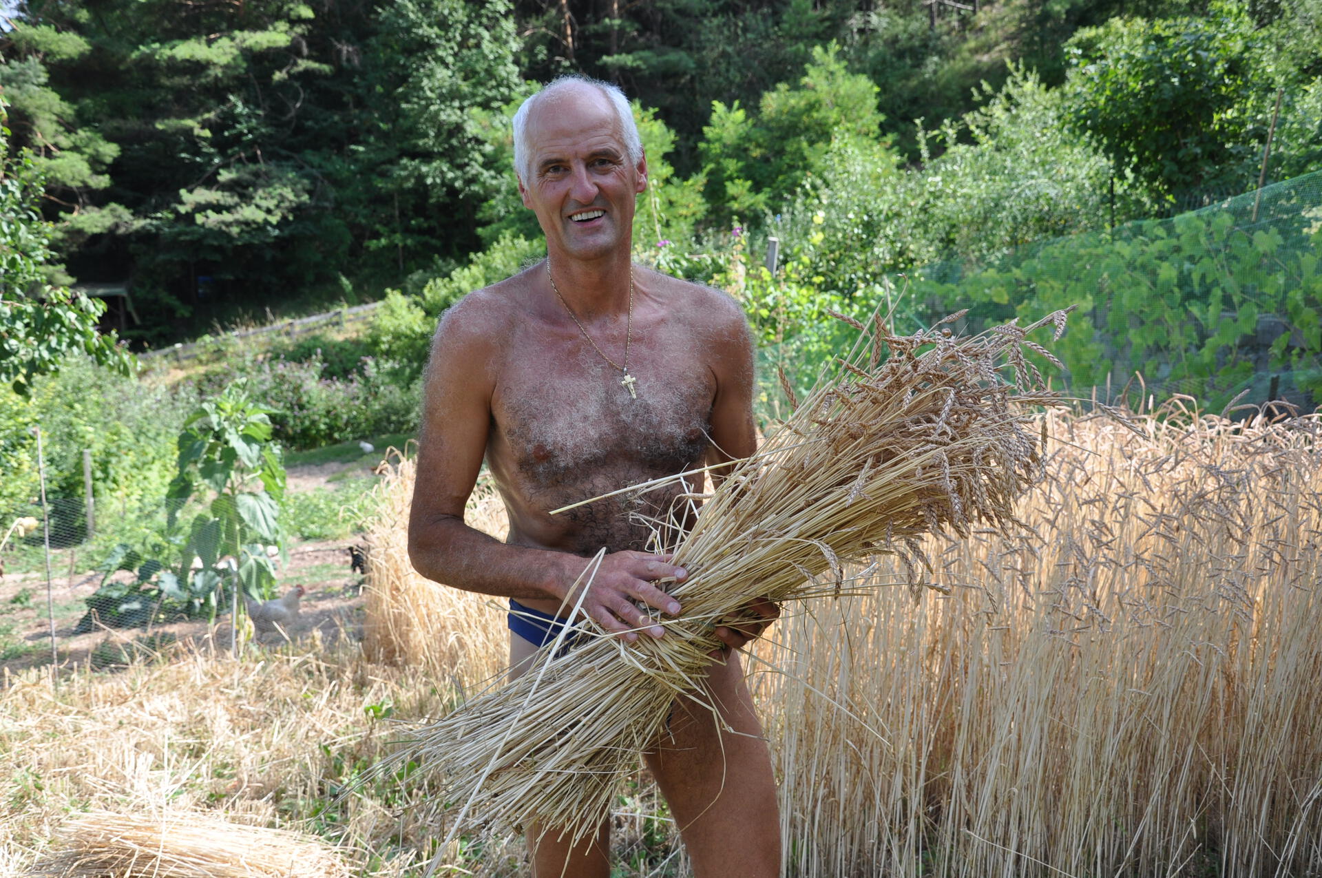 Contadino che raccoglie il grano