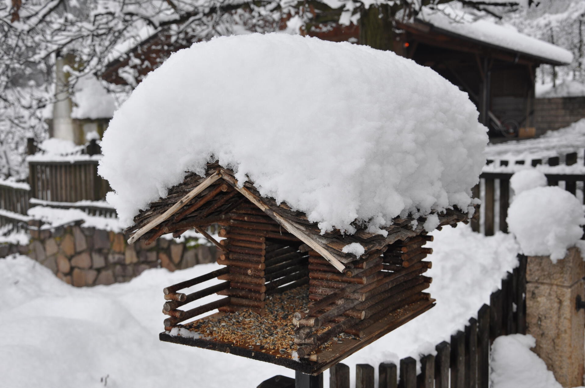 Casetta per uccelli innevata