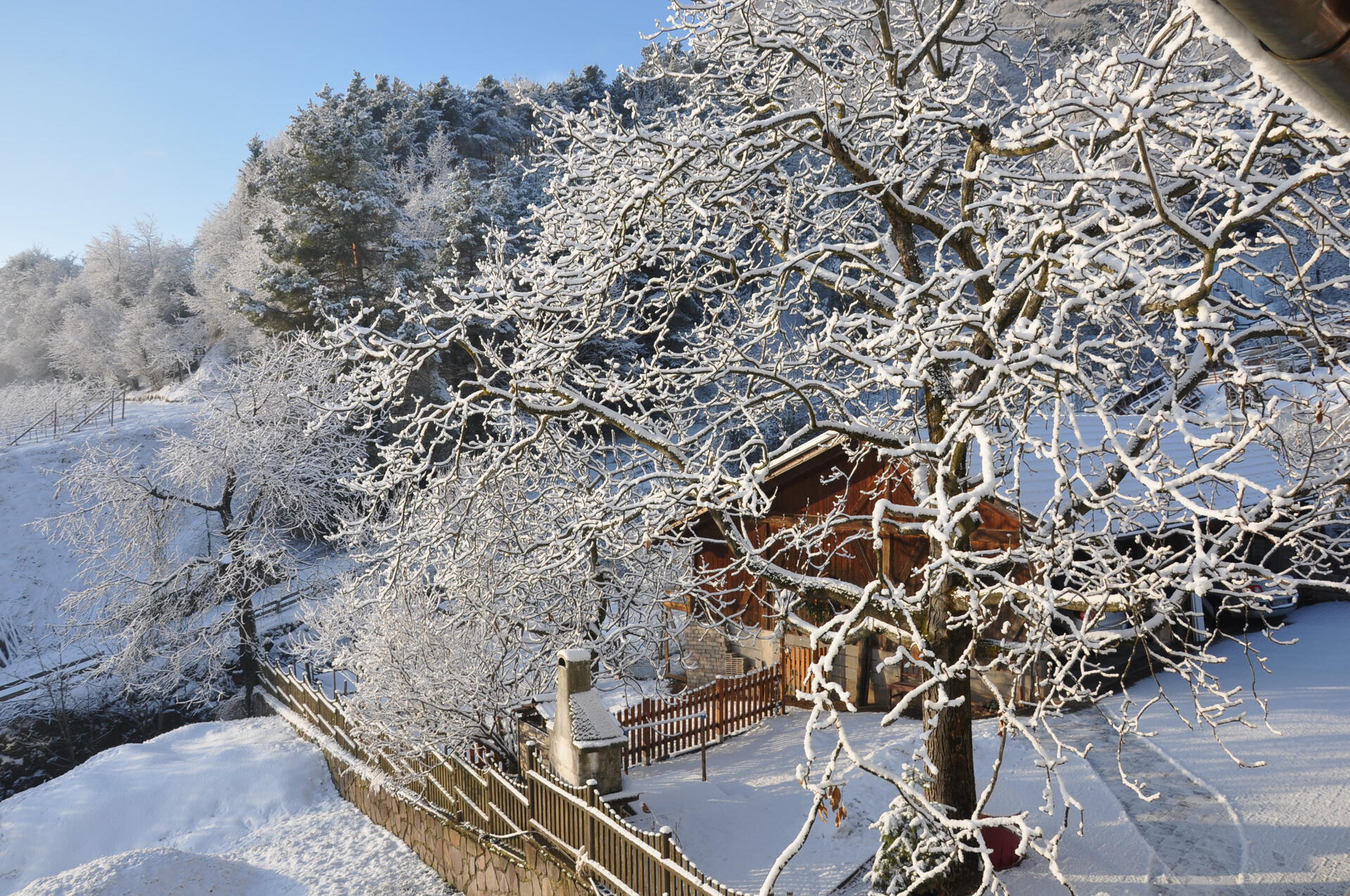 Blick vom Balkon